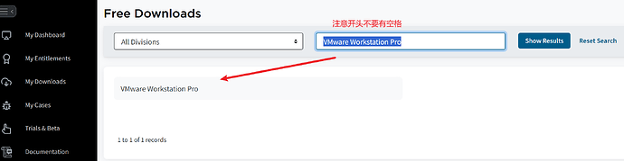 从零搭一台 Linux 虚拟机:VMware + Linux 入门教程 image-20260317134545875